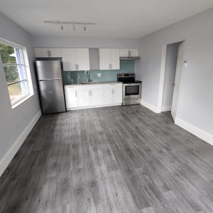new-kitchen-look